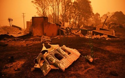 Cháy rừng kinh hoàng ở Australia: bảo hiểm trả hàng nghìn tỷ bồi thường 
