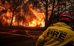 Chuyên gia khuyên Australia cắt giảm lãi suất, tránh kinh tế đi lùi vì thảm họa cháy rừng