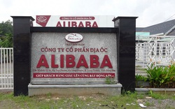 Đồng Nai xử lý nghiêm những ai "tiếp tay" cho sai phạm của Alibaba