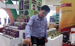 Ninh Bình có loại trà hoa vàng quý hiếm, bán đắt như tôm tươi nhưng dân Thủ đô vẫn thích