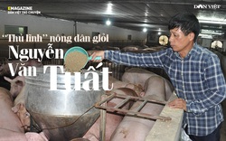 Nguyễn Văn Tuất - "thủ lĩnh" nông dân giỏi với biệt tài chăn nuôi 10 tỷ đồng/năm