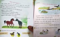 Sách tiếng Việt lớp 1 Cánh Diều sẽ được chỉnh sửa như thế nào?