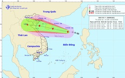 Bão số 6 vừa tan, bão số 7 đã hình thành, giật cấp 12, Ban Chỉ đạo ra công điện khẩn