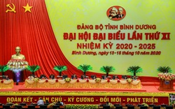 Khai mạc phiên trù bị Đại hội Đảng bộ tỉnh Bình Dương