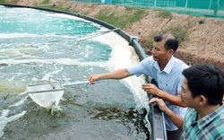 Bạc Liêu: Hàng năm có trên 35.000 hộ nông dân sản xuất giỏi, nhiều hộ thu tiền tỷ từ nuôi cá tôm đặc sản