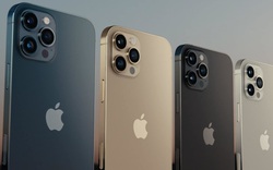 Ra mắt iPhone 12: Apple làm rõ tham vọng kiếm tiền từ Trung Quốc