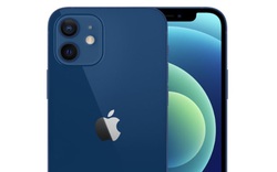 Màu sắc của iPhone 12: Hai màu xanh mới làm người dùng "xiêu lòng"