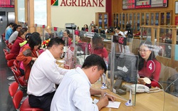 Agribank – TOP 3 Doanh nghiệp nộp thuế lớn nhất Việt Nam năm 2019
