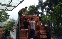 Báo Nông thôn Ngày nay/Điện tử Dân Việt đang trên hành trình hỗ trợ đồng bào bị lũ lụt ở miền Trung