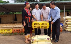 Mô hình "nông dân dạy nông dân, cầm tay chỉ việc" ở tỉnh Quảng Ninh có gì hay mà nên nhân rộng?