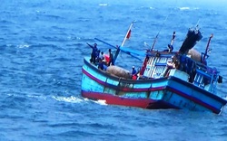 Bình Định: 5 ngư dân gặp nạn, mất tích trên biển
