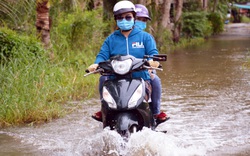 Cà Mau: Sau hạn mặn kinh hoàng, dân vùng ngọt hóa lại bì bõm lội nước ngập lụt, học sinh 2 huyện phải nghỉ học