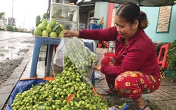 Trái dại, rau mọc hoang hút hàng mùa nước nổi ở tỉnh An Giang, dân đi hái kiếm tiền trong tháng lũ