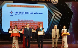 EVN nhận giải thưởng Doanh nghiệp chuyển đổi số xuất sắc 2020