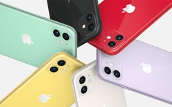 iPhone 11 doanh số khủng, giá bán hiện tại bao nhiêu?