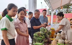 Tổ chức đấu giá lan đột biến, sinh vật cảnh, ủng hộ đồng bào bị lũ lụt ở miền Trung