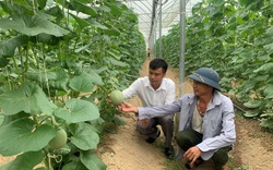 Chuyển đổi sản xuất đúng hướng, Bắc Giang xuất hiện nhiều tỷ phú nông dân