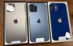 Dân buôn iPhone xách tay "cóng" trước ngày iPhone 12 mở bán