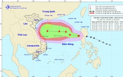 Nóng: Biển Đông đón bão số 8, miền Trung nguy cơ lại hứng mưa lớn