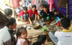 Trung ương Hội Nông dân Việt Nam kêu gọi quyên góp ủng hộ đồng bào bị thiệt hại do bão, lũ ở miền Trung