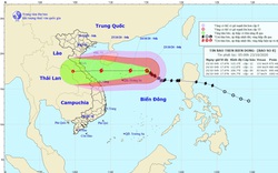 Bão số 8 cách quần đảo Hoàng Sa 320km, giật tới cấp 15