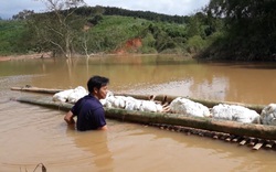 Kon Tum: Thủy điện tích nước, nông dân phát hoảng vì cà phê, cao su bỏ phế