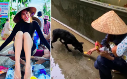 HOT showbiz: Xúc động clip Thủy Tiên cứu trợ chú chó bị đói rét, Hoài Linh nhận hơn 7 tỷ đồng