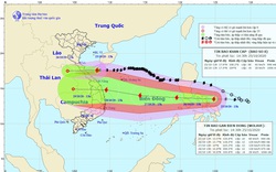 Tin bão mới nhất: Bão số 8 tiến sát Hà Tĩnh - Quảng Trị, bão Molave có thể vào Đà Nẵng - Phú Yên 