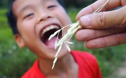 Đòng đòng là thứ gì mà người mua thì hỏi tới tấp, người bán thì bán mỗi ngày cả tạ?