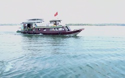 Đây là lý do tỉnh Đồng Nai phải thả gần chục tấn cá xuống hồ Trị An mỗi năm