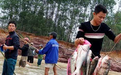 VIDEO: Người dân đổ xô về hồ Kẻ Gỗ bắt cá sau lũ