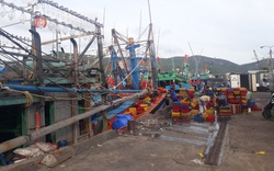 Trước giờ bão số 9 đổ bộ: Tàu cá Bình Định cứu 5 ngư dân Phú Yên thoát chết