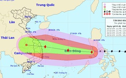 Khẩn cấp: Sáng 28/10, bão số 9 có thể đổ bộ Đà Nẵng - Phú Yên, nâng một cấp rủi ro thiên tai 