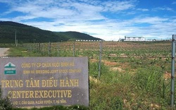 Đại án BIDV: Tin mới về dự án của công ty "sân sau" ông Trần Bắc Hà