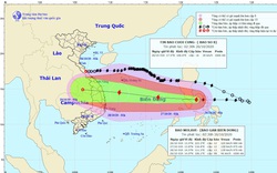 Sáng nay, bão Molave vào biển Đông, giật cấp 14