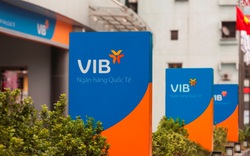 Cổ phiếu Ngân hàng VIB sẽ giao dịch trên HoSE từ ngày 10/11