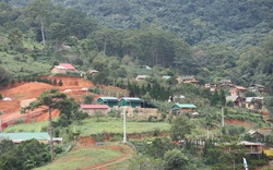 Lâm Đồng: Hơn 50 căn nhà trái phép trên đất lâm nghiệp dưới chân núi Voi