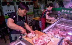 Nguồn cung thịt lợn của Trung Quốc tiếp tục cải thiện