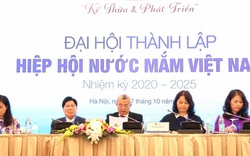 Ra mắt Hiệp hội Nước mắm Việt Nam