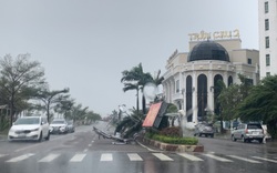 Bình Định: 15 nhà dân tốc mái, 6 người bị thương do bão số 9