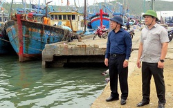 1.280 tàu thuyền Quảng Ngãi đã vào nơi neo đậu để tránh bão
