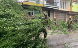 Bình Định “cấp tốc” dọn dẹp thiệt hại do bão số 9