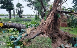 Ảnh: Nhà dân bị tốc mái, ngập lụt... ở tỉnh Bình Định do bão số 9