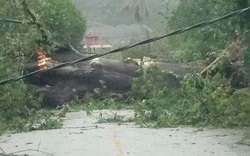 TT-Huế: Hàng trăm nhà dân hư hại, nhiều người bị thương, mất điện trên diện rộng do bão số 9 