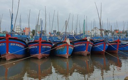 Bình Định: 14 ngư dân trên tàu đi cứu hộ an toàn, tiếp tục tìm kiếm 26 người mất tích