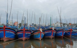 Bão số 12 tại tỉnh Bình Định: 13 ngư dân may mắn thoát chết vụ tàu cá bị hỏng hộp số thả trôi