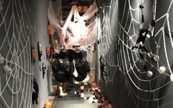 Người Sài Gòn chi tiền triệu, rước ma quỷ về chơi Halloween