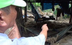 Một ngôi làng 80 hộ dân ở Quảng Nam bị bão số 9 đánh tan tành, cô lập với bên ngoài