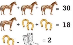 Bài toán con ngựa gây sốt mạng xã hội