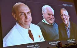 3 nhà khoa học đoạt giải Nobel y học nhờ khám phá bất ngờ về bệnh viêm gan C